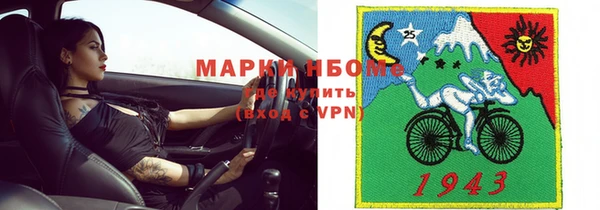 шишки Гусь-Хрустальный