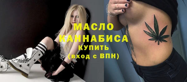 шишки Гусь-Хрустальный