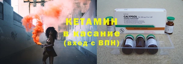 шишки Гусь-Хрустальный
