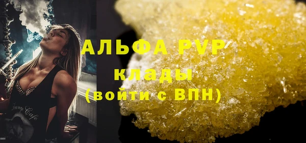круглые Гусев