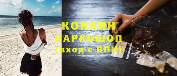шишки Гусь-Хрустальный