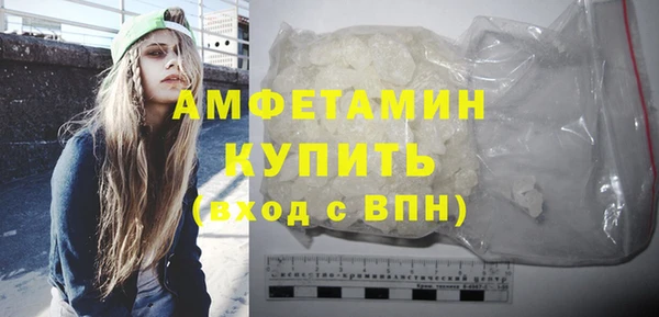 шишки Гусь-Хрустальный