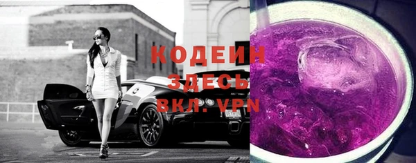 шишки Гусь-Хрустальный