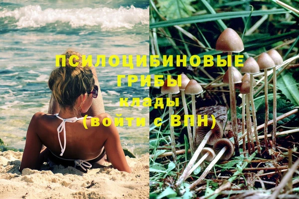 круглые Гусев