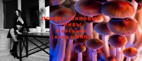 круглые Гусев