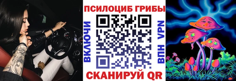 Псилоцибиновые грибы MAGIC MUSHROOMS  купить закладку  Красноярск 